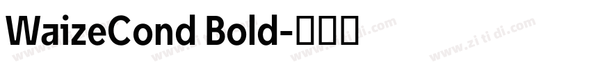 WaizeCond Bold字体转换
